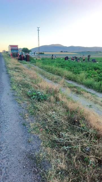 @mahmut çavuş