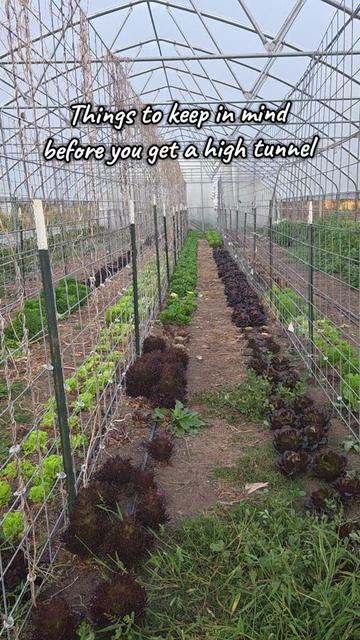 @DelaterrePermacultureFarm