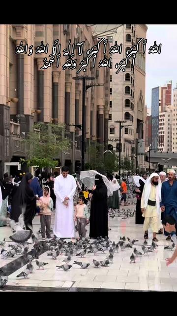@Haسnain🇸🇦