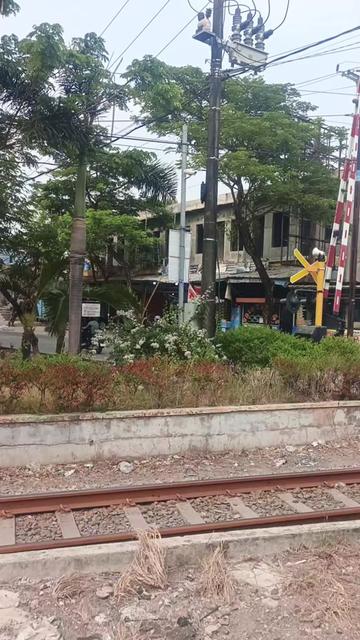 @pratama