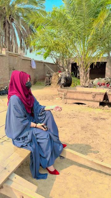 @Shumaila Mehar ❤️🔥