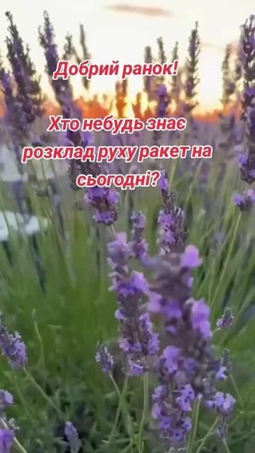 @galinashewchuk