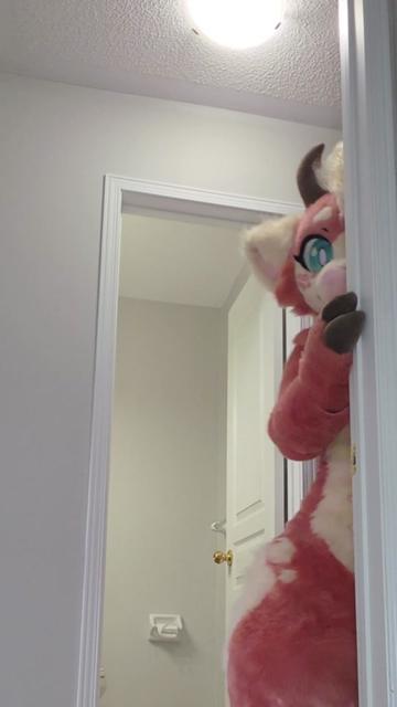 @Corgi