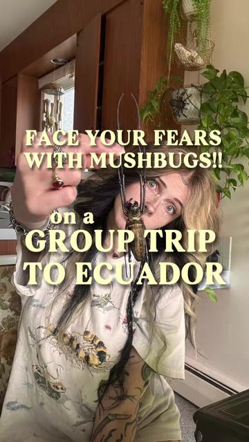 @mushbugs
