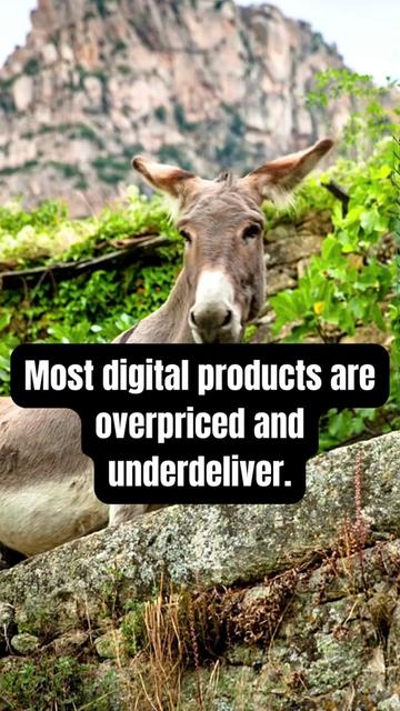 @Digital Marketing Pros ✨