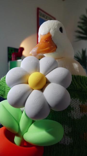 @ducks_in_space🪿🪿💦