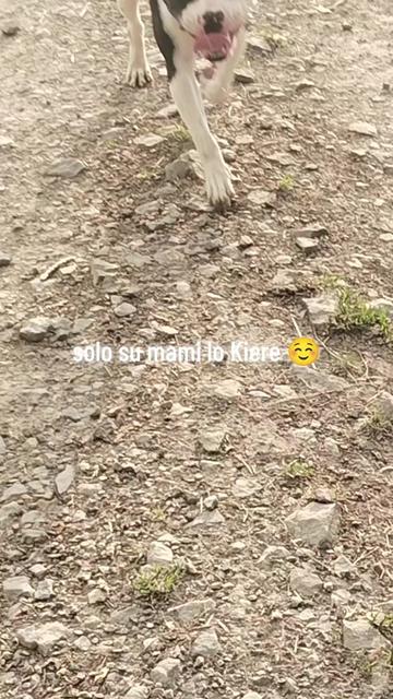 @Vero Rrodriguez