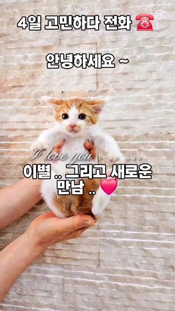 @๐ฉ์ด์์ฌ×234๐ฉ