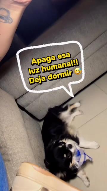 @ruthsantoyopsique