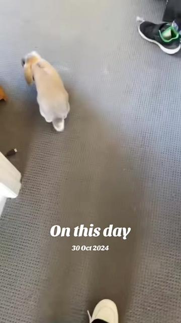 @shellyteddybear1