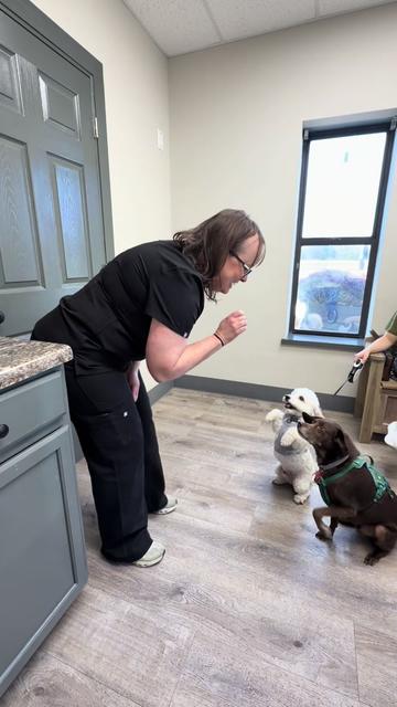 @Snodgrass Vet