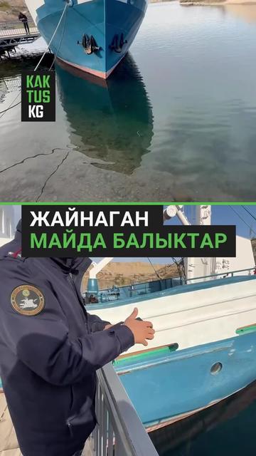 @Kaktus KG