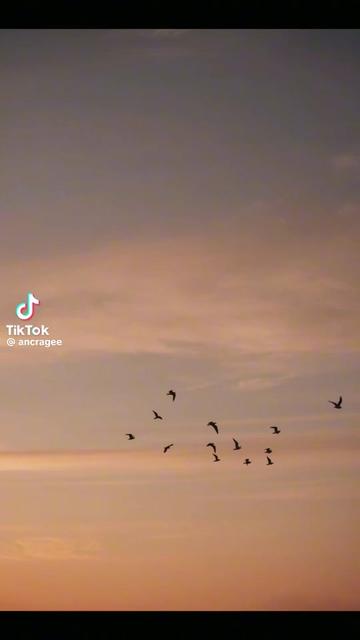 @عائلة سعيدة