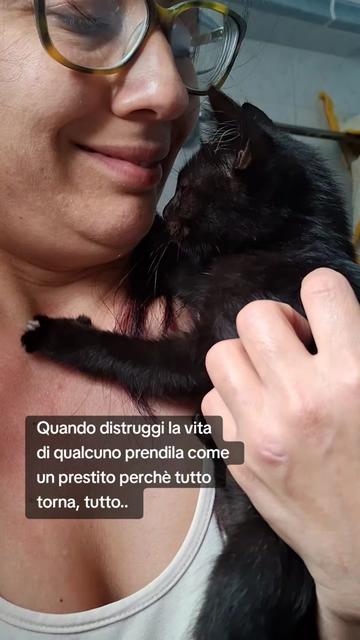 @luciadauria47