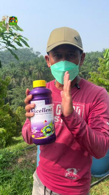 @Dusun Cikgu Mail