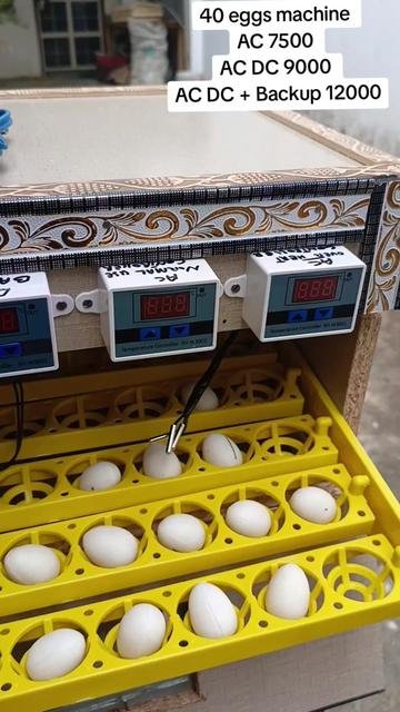 @Hazara Incubators