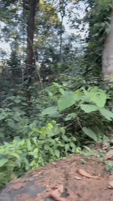 @Vishari_Nimhira🧚♀