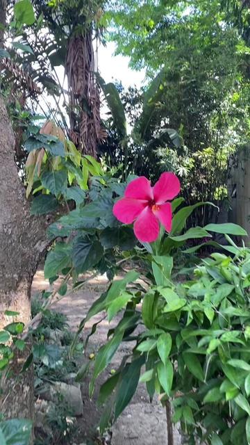 @ricammendations