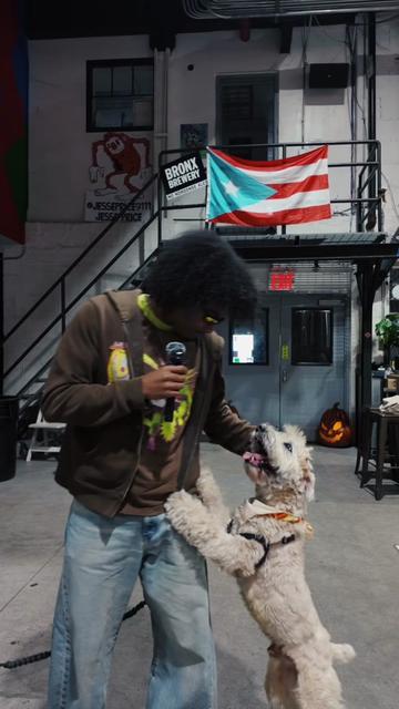 @papitogto ๐ต๐ท๐น๐น
