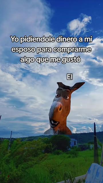 @Flor de Mar&iacute;a✨️