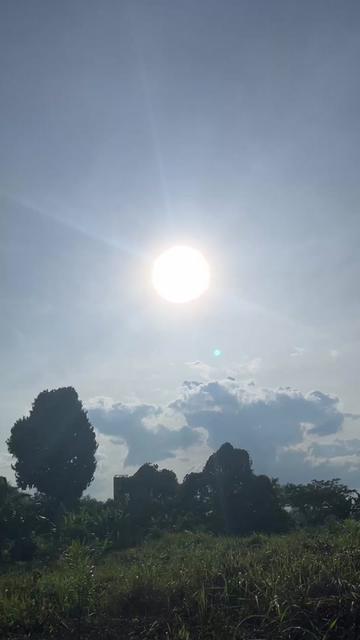 @Hayau tarus