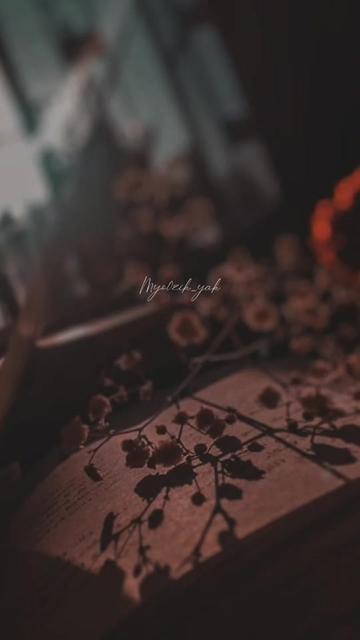 @ꪑꪗꪮ੦ɀỉƙ_ꪗꪖƙ ♪♫♬ 🧬