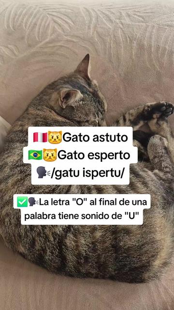 @Portugués sin límites 2