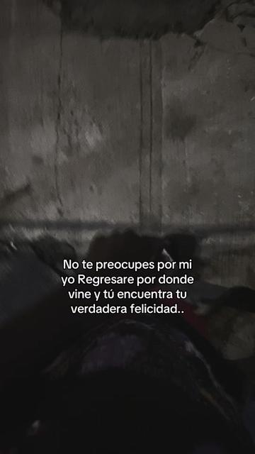 @Moquito 🦟👣