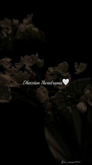 @Song Editzzz
