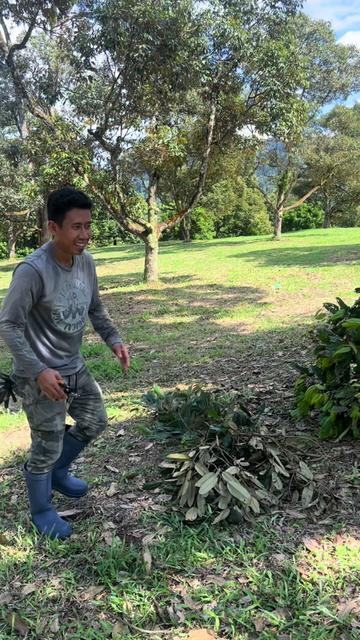 @Dusun Cikgu Mail