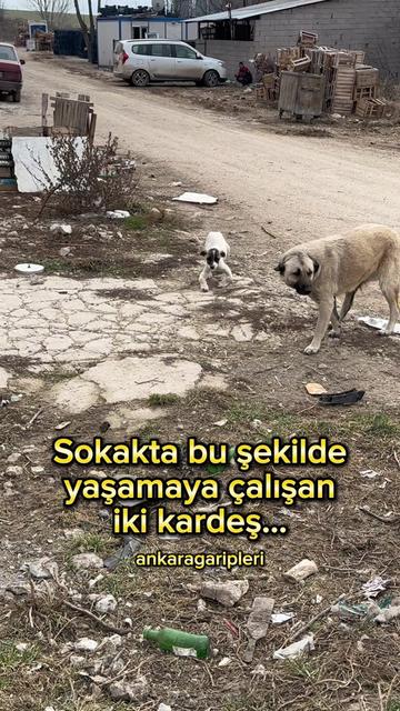 @Asiye