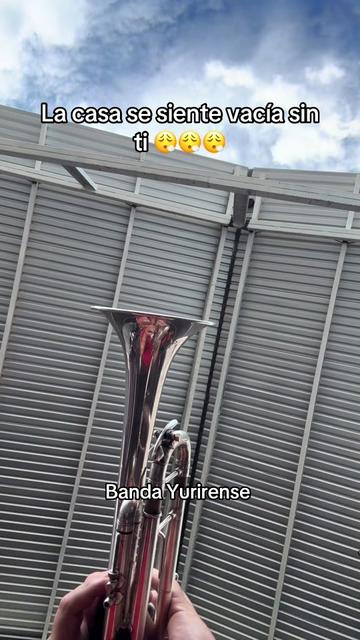 @Luisin Lpz-Trumpet