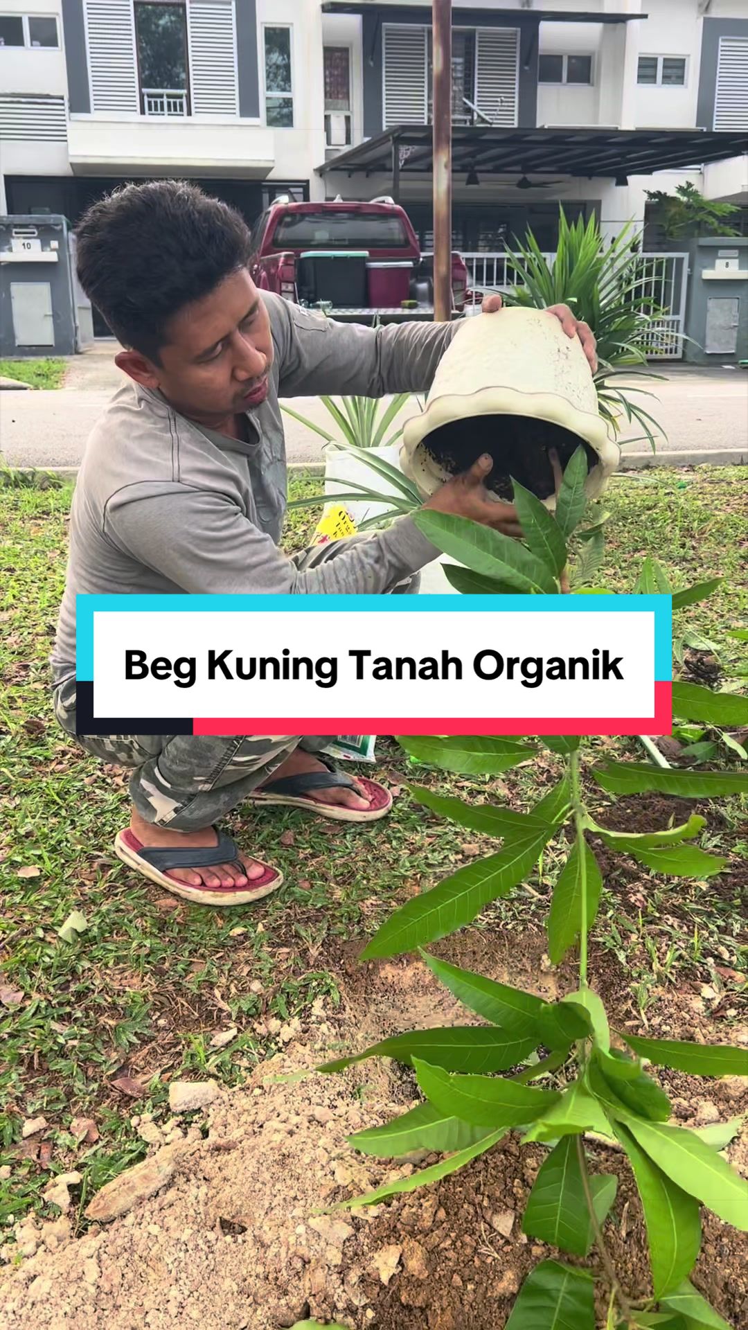 @Dusun Cikgu Mail