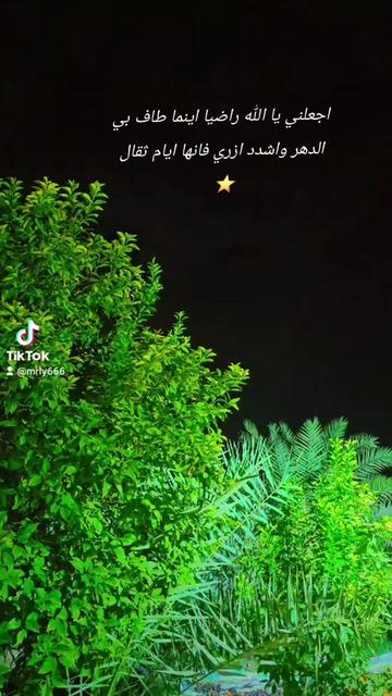 @mr-ly6