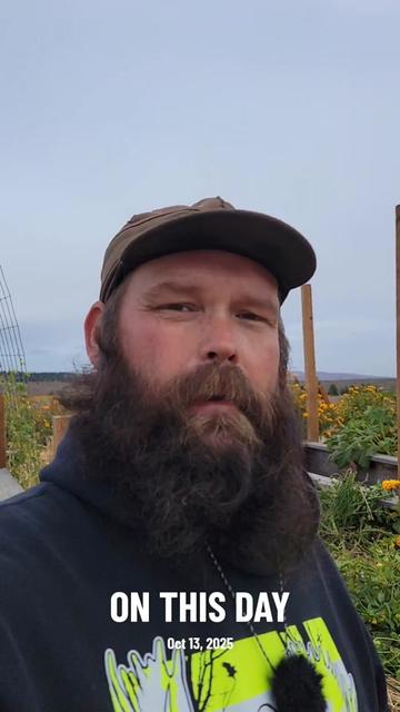 @thebeardedfamily1