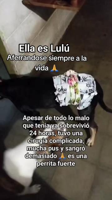 @𝕃𝕚𝕤𝕤 ℝ𝕖yes🇸🇻