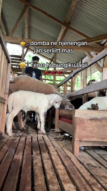 @DhanniaFarm