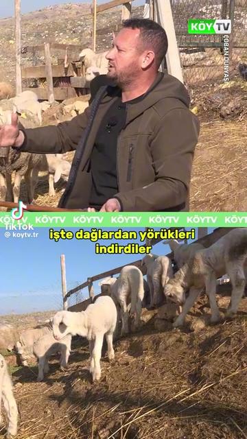 @RLCxRİGBY