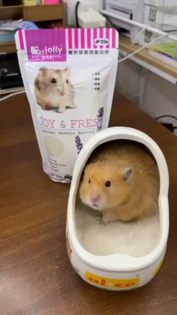 @Pet for Life