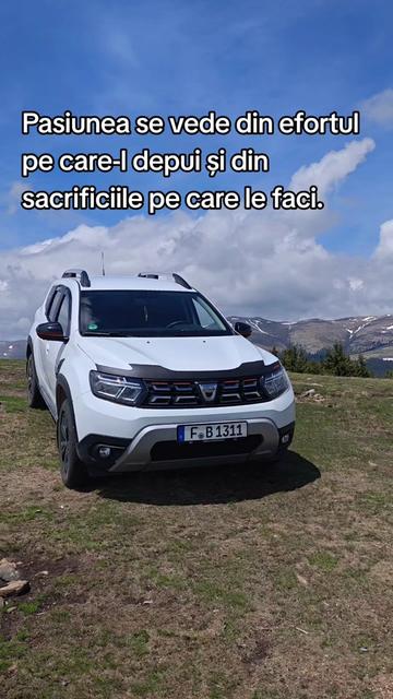 @ionuthabuc_duster_fan
