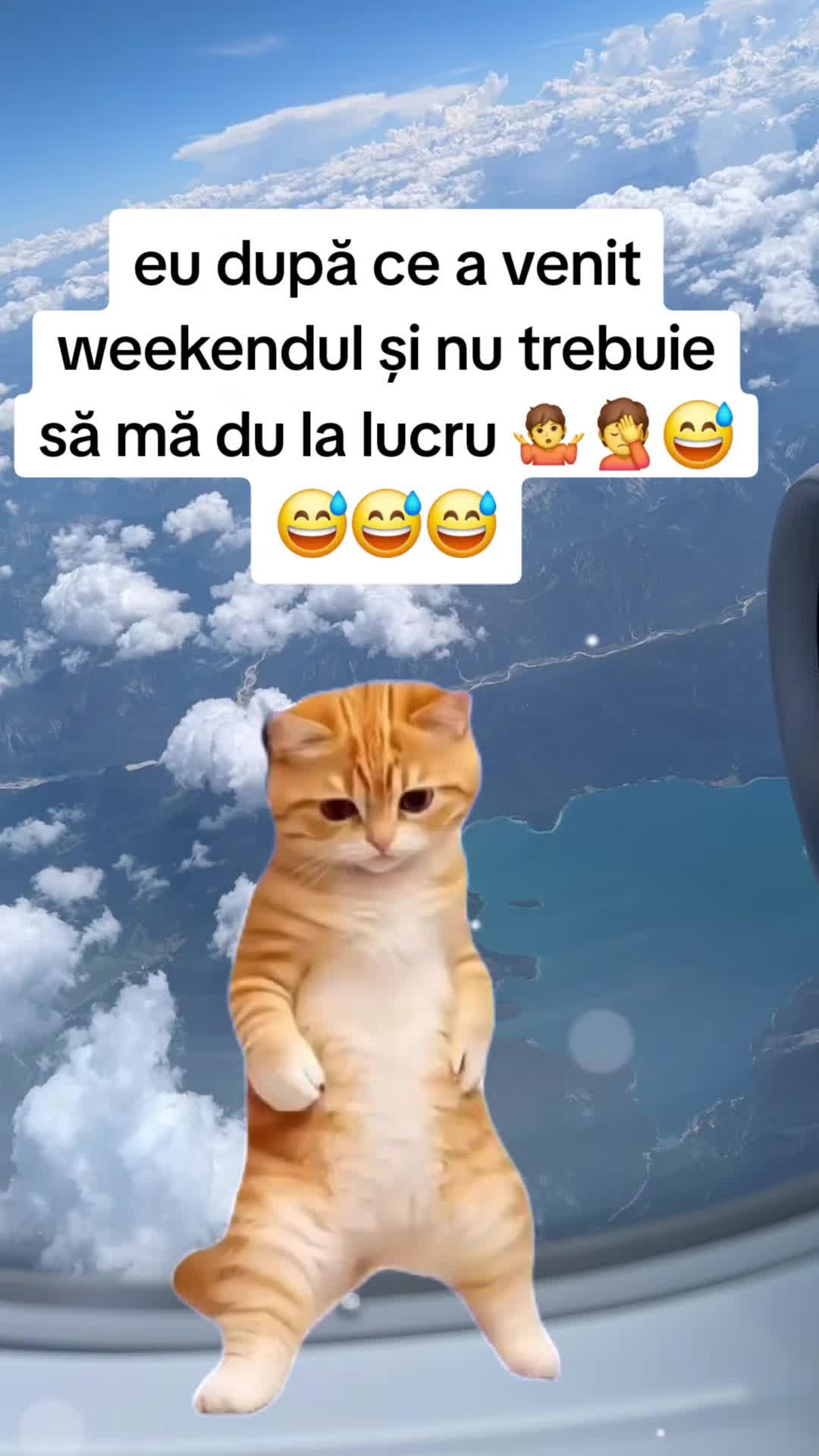 @Irimia Vasilică