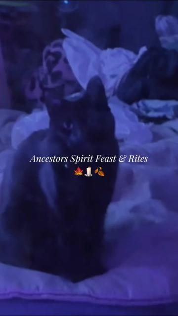 @✨🔮The Spiritual Bae🕯️🦋