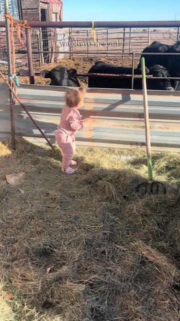 @S&Kfarm
