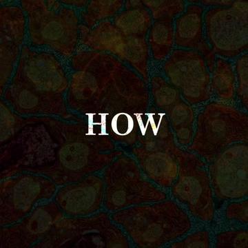 @neuro_glow