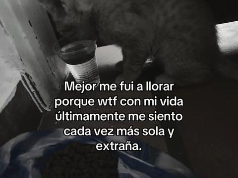 @anonima