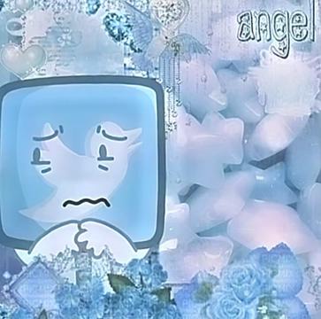 @¿˚꒰ঌ 不明なメモリ ໒꒱˚?