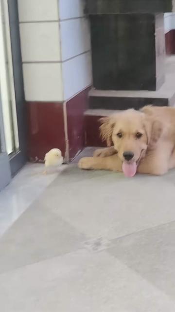 @cuteanimals472