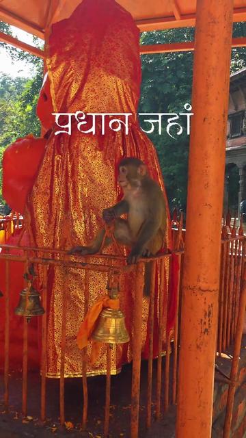 @सरोज देबकोटा