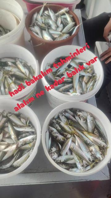 @SeRCan KaPTaNLa TeKNe KeYFi