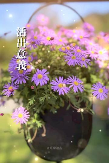 @能量姐
